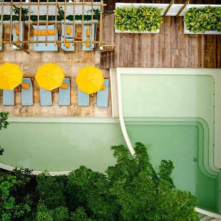 Cafe Jeri Hotel Жижока-ди-Жерикуакуара Экстерьер фото The rooftop pool at the hotel
